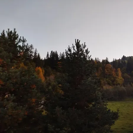 дім співучої ріки *