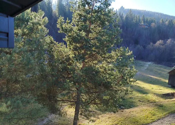 Апартаменты дім співучої ріки